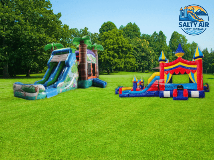 Bounce House / Water Slide Combo Bounce House / Water Slide Combo