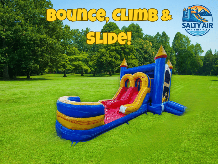 Bounce House / Water Slide Combo Bounce House / Water Slide Combo