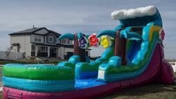 AFE0372A 63FF 4D1B ABE1 3BE29891CDEA 1775066739 15 FT SUMMER LUAU Single Lane Wet Dry Slide