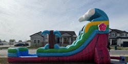 B730D2CE A28D 4453 B0A1 D576A9772FA5201 1775066739 15 FT SUMMER LUAU Single Lane Wet Dry Slide