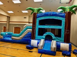3249B65C 0BE2 42B3 84CB 9F7401213451 1778700768 Palm Tree TEAL Bounce House Water Slide Combo