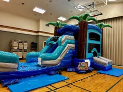 3CBC2C5E 3676 4A17 99EE D19D8EA57C10 1778700768 Palm Tree TEAL Bounce House Water Slide Combo